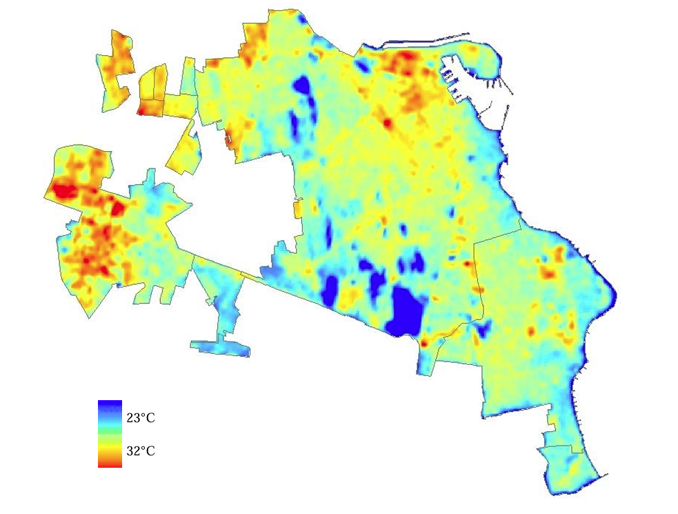 Grajeda-Rosado y Mondragon-Olán, 2019